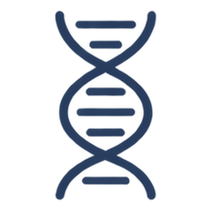 Cellular Support